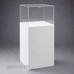 custom-acrylic-display-case-with-pedestal